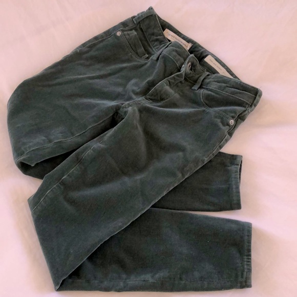 Pilcro and the Letterpress Corduroy High-Rise Skinny Ankle Pants Size 26 - Picture 8 of 8
